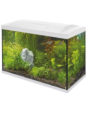 leninismen Miljøvenlig rynker SuperFish Start 100 Tropical akvariestartsæt 90 L, L68xB34xH46,5 cm, hvid